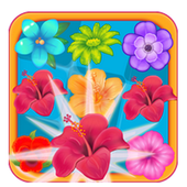 Bubble Bloom 2016 icon