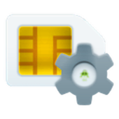 Details – Dual Sim card &amp; Phone icon