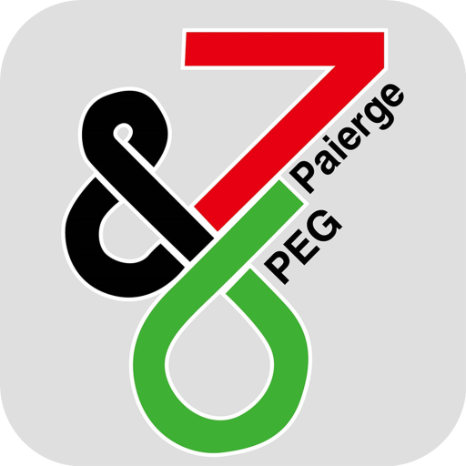 PG WiFi icon