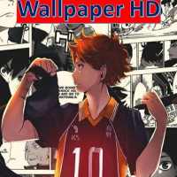 Haikyuu Volleyball Wallpaper Anime