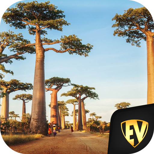 Senegal Travel &amp; Explore, Offline Country Guide icon