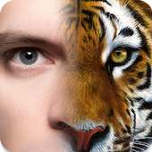 Face Morphing - Animal Faces on 9Apps