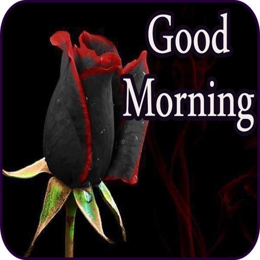Good Morning Messages &amp; Images with Flowers Roses icon