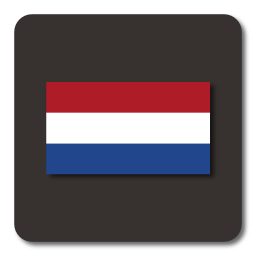 Lightning Launcher  Nederlands icon