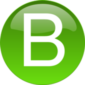 Bro Browser fast Browser icon