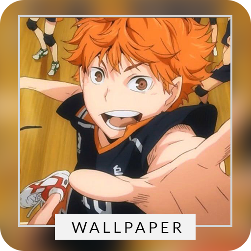 Haikyuu Volleyball Wallpaper Background icon