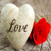 Love Status & Quotes GF & BF