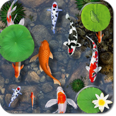 Fishes Aquarium Live Wallpaper icon