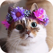 パズル-かわいい猫🐱🐈 icon