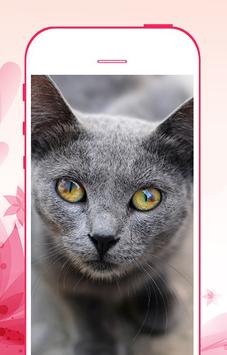 Eyes Color Changer screenshot 5