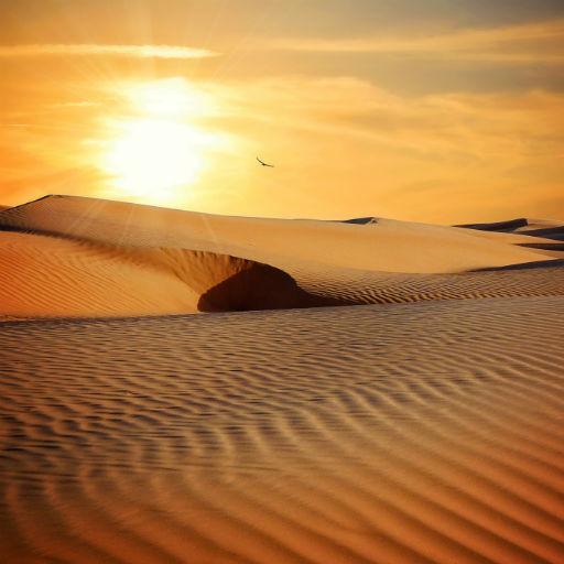 Desert Wallpapers أيقونة