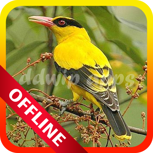 Master Burung Kepodang Emas icon