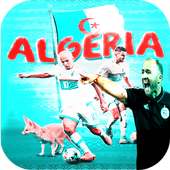 Algeria National Football Team Africa Cup 2019 on 9Apps