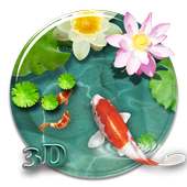 Fancy 3D koi fish theme on 9Apps