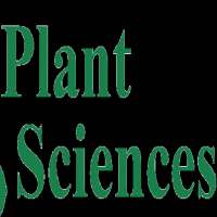 PLANT SCIENCES JRF