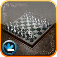 World Chess Championship