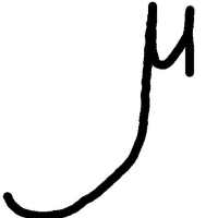 Muon Flux Calculator