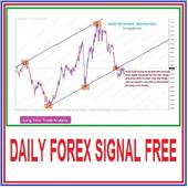 Daily Forex Signal Free icon