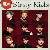My Pace - Stray Kids icon
