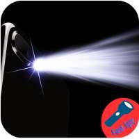 Flashlight-flash bulb