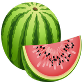 Melon VPN icon