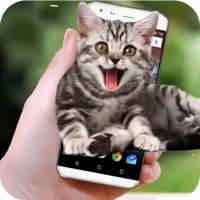 Funny Cat Walks On Screen - Cute Animation