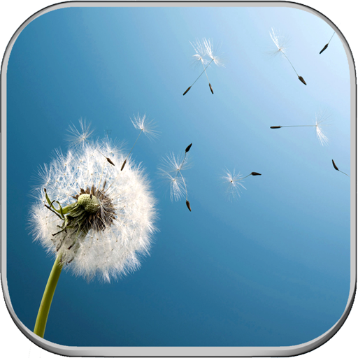 Wallpapers for Sony Xperia Z5,Z4,Z3,Z2,Z1 icon
