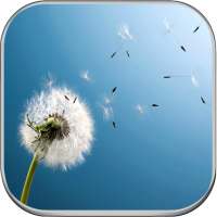 Wallpapers for Sony Xperia Z5,Z4,Z3,Z2,Z1 on 9Apps