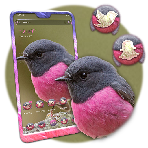 Pink Robin Launcher Theme icon