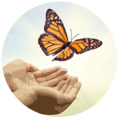 Mind and Wellness icon