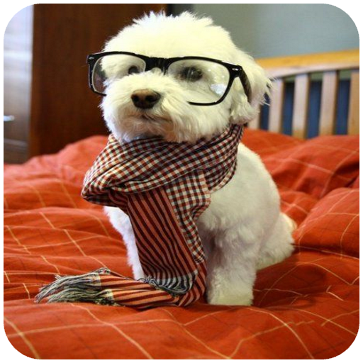 Buenos días, tardes y noches 2020 icon