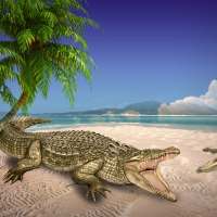 Crocodile Attack 3D  2016