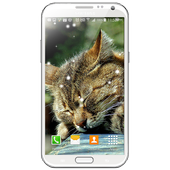 Музыкальный плеер снег иконка