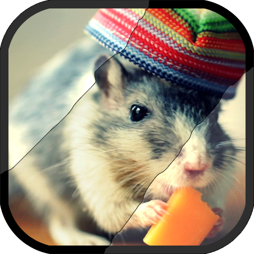 HD Animal Wallpapers 2018 offline icon