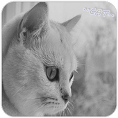 Cat Puzzles:แมว จิ๊กซอว์ icon