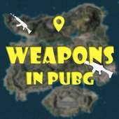 Weapons In PUBG