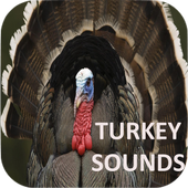 Turkey Sounds icon