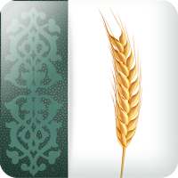 Zakat in Islam on 9Apps