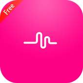 Musical ly. Music videos