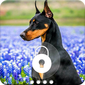 Doberman Lock Screen icon
