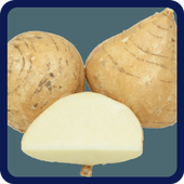 Healt Insurance icon