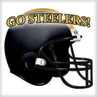 Go Steelers! on 9Apps