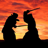 Shadow Fight Wallpaper HD icon