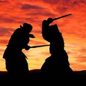 Shadow Fight Wallpaper HD