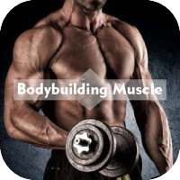 Bodybuilding Muscle Training on 9Apps