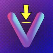 Free Video Downloader