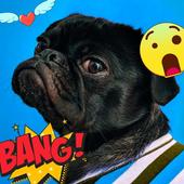 Pretty Makerup Photo icon