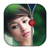 صور زيبر قفل الشاشة أيقونة