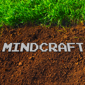 Mind Craft Pocket Edition 3D icon
