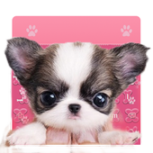 Lovely Teacup Dog Keyboard icon